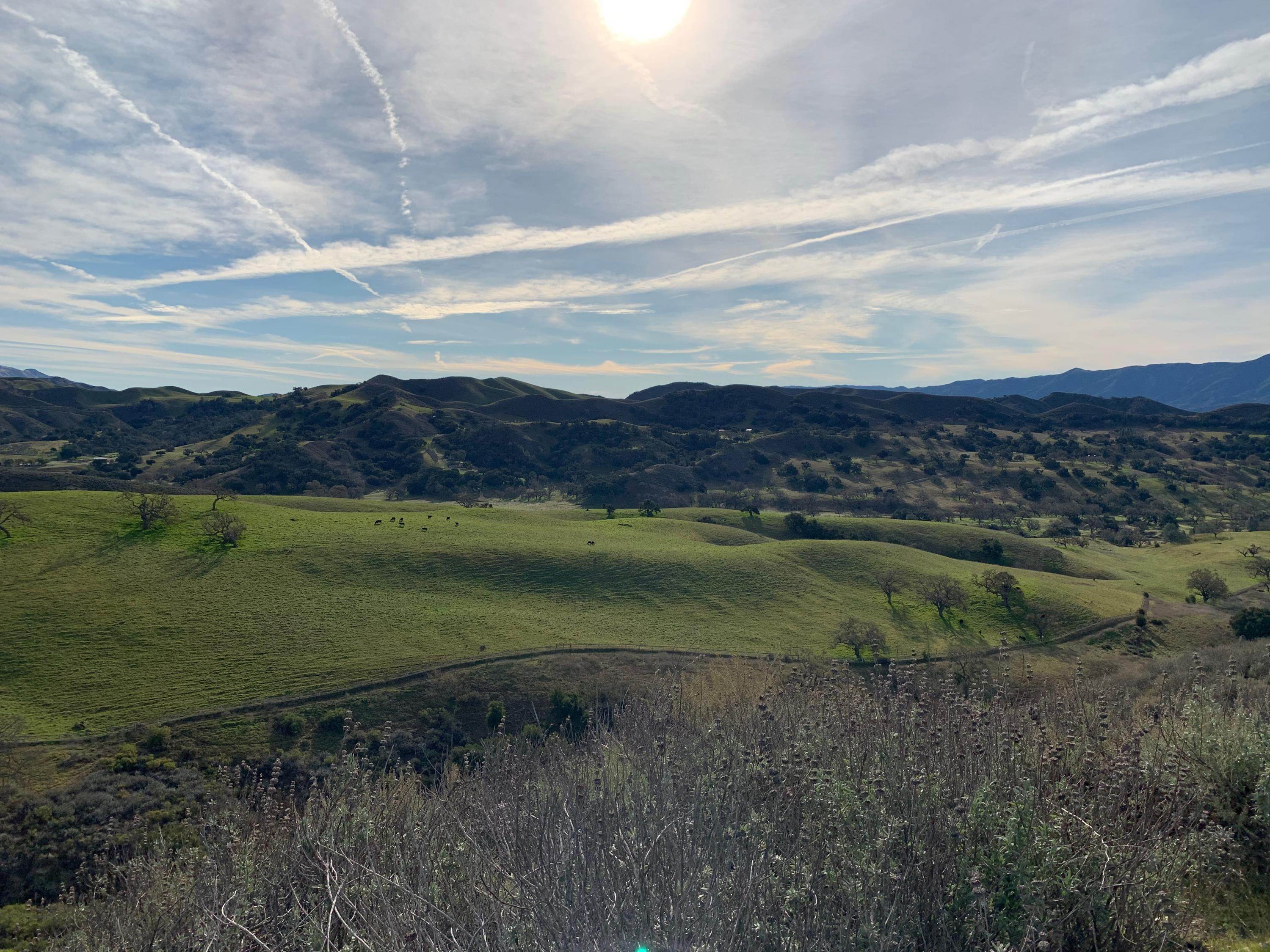 19. Farm and Ranch Properties for Sale at 7355 Happy Canyon Road Santa Ynez, California 93460 United States