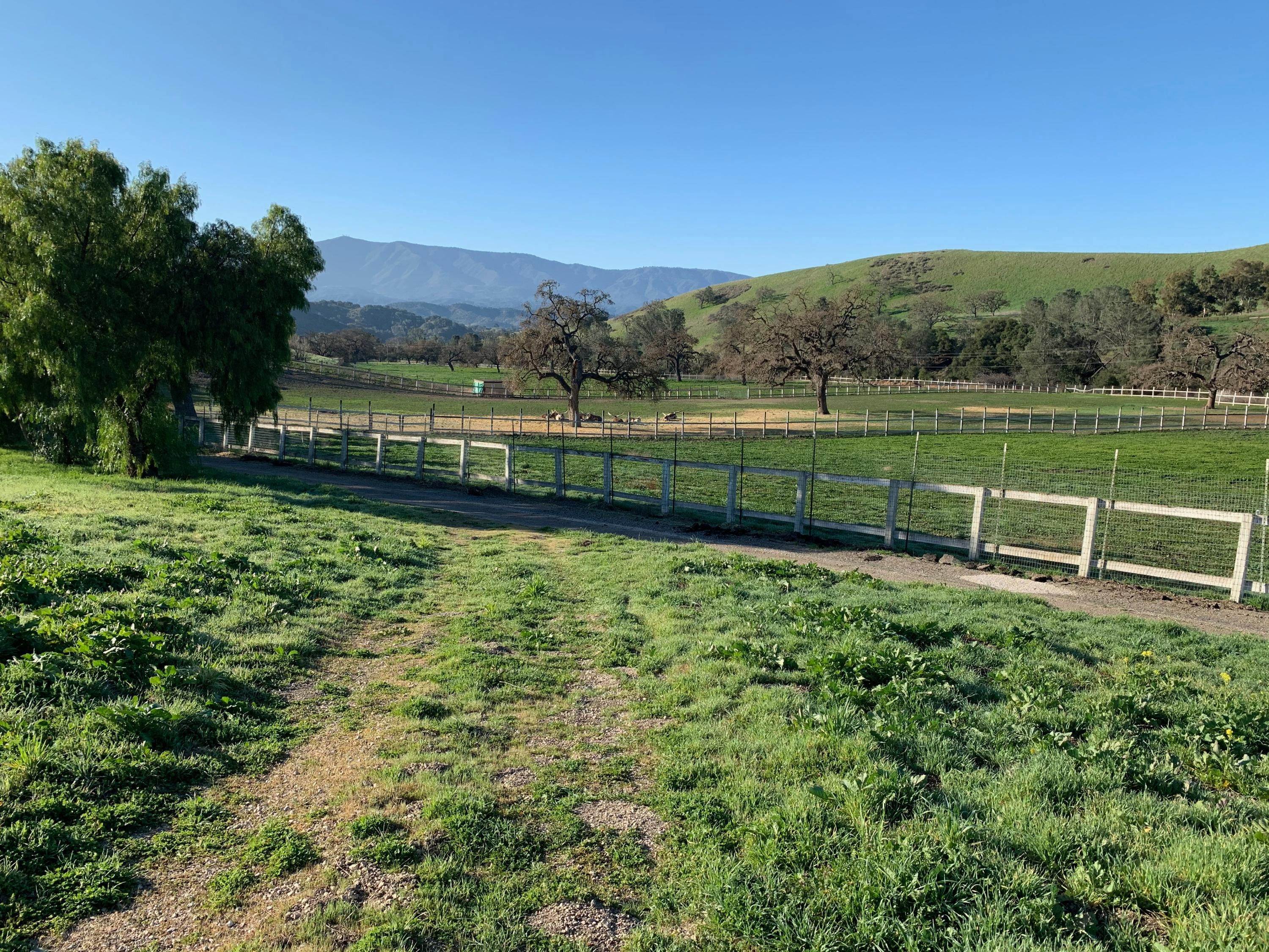 21. Farm and Ranch Properties for Sale at 7355 Happy Canyon Road Santa Ynez, California 93460 United States