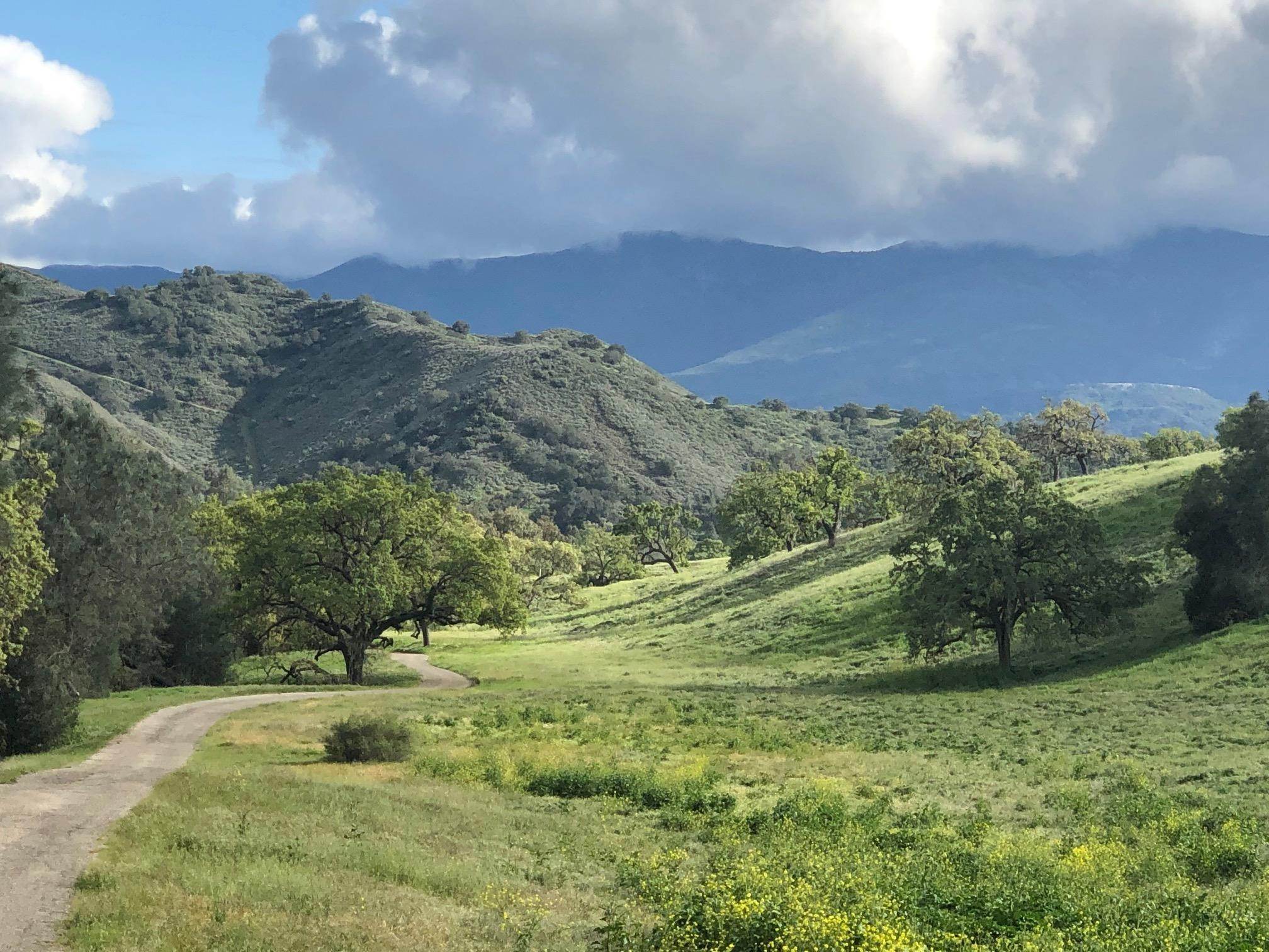 Farm and Ranch Properties for Sale at 7355 Happy Canyon Road Santa Ynez, California 93460 United States