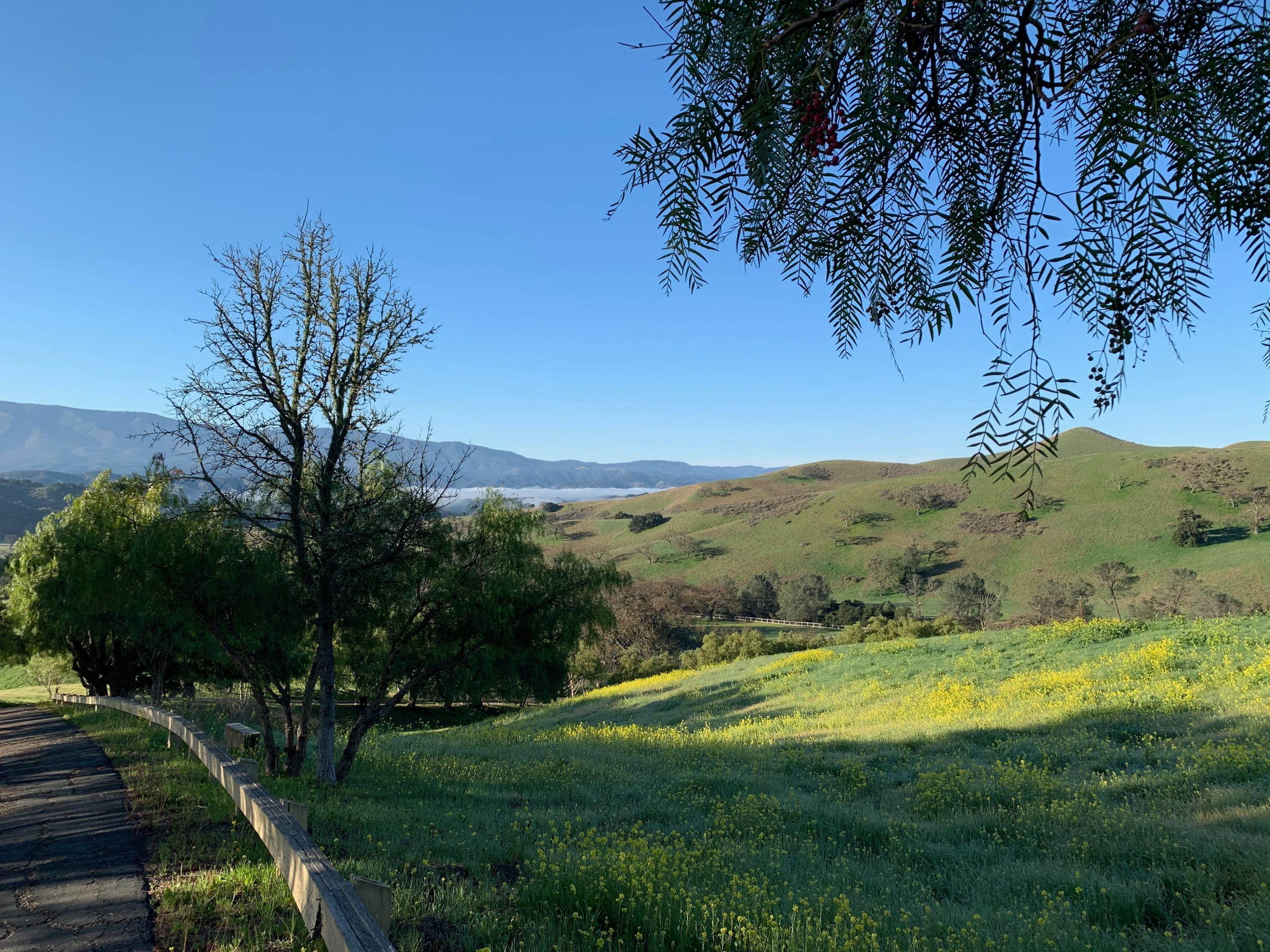 44. Farm and Ranch Properties for Sale at 7355 Happy Canyon Road Santa Ynez, California 93460 United States