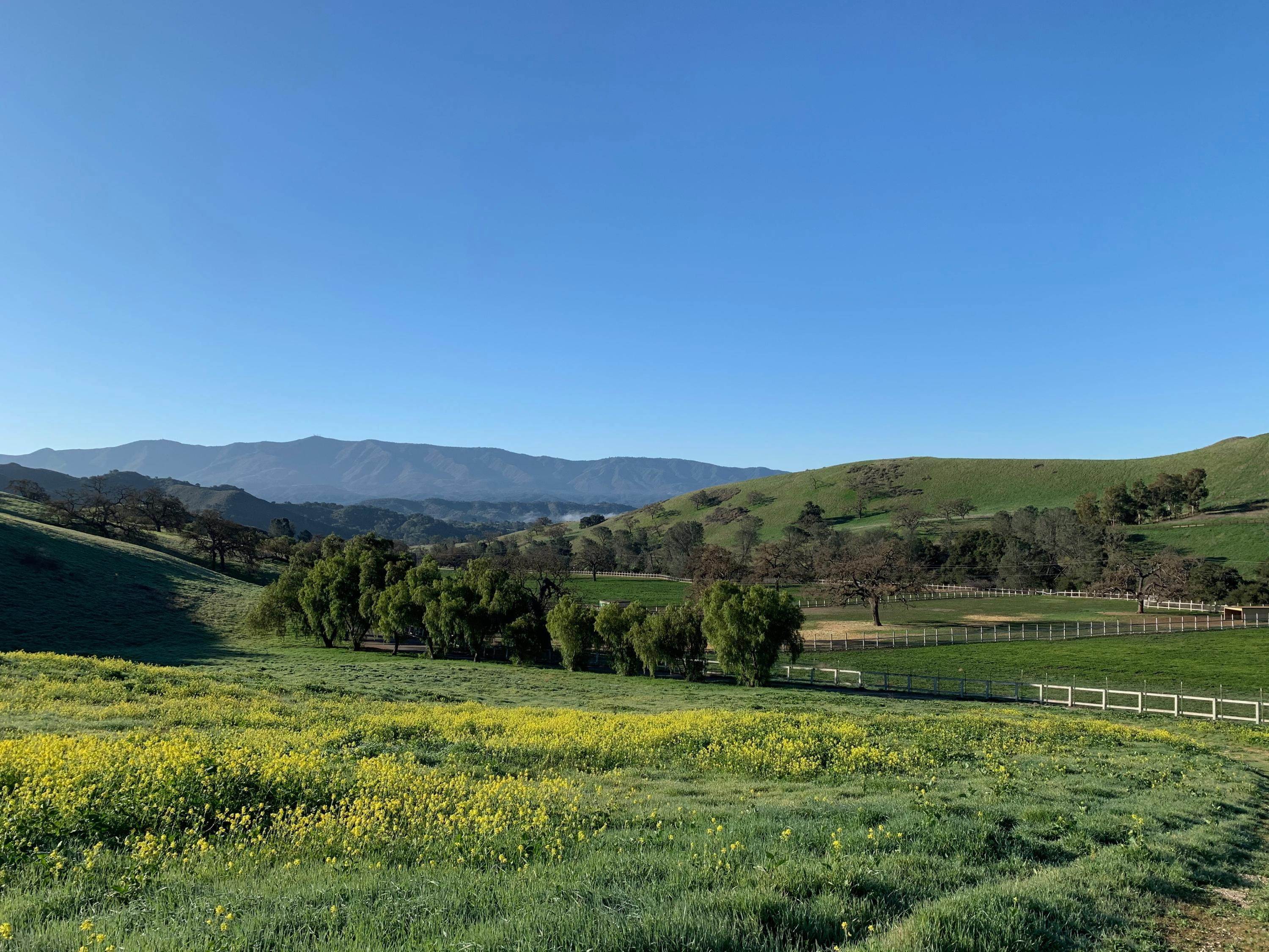 49. Farm and Ranch Properties for Sale at 7355 Happy Canyon Road Santa Ynez, California 93460 United States