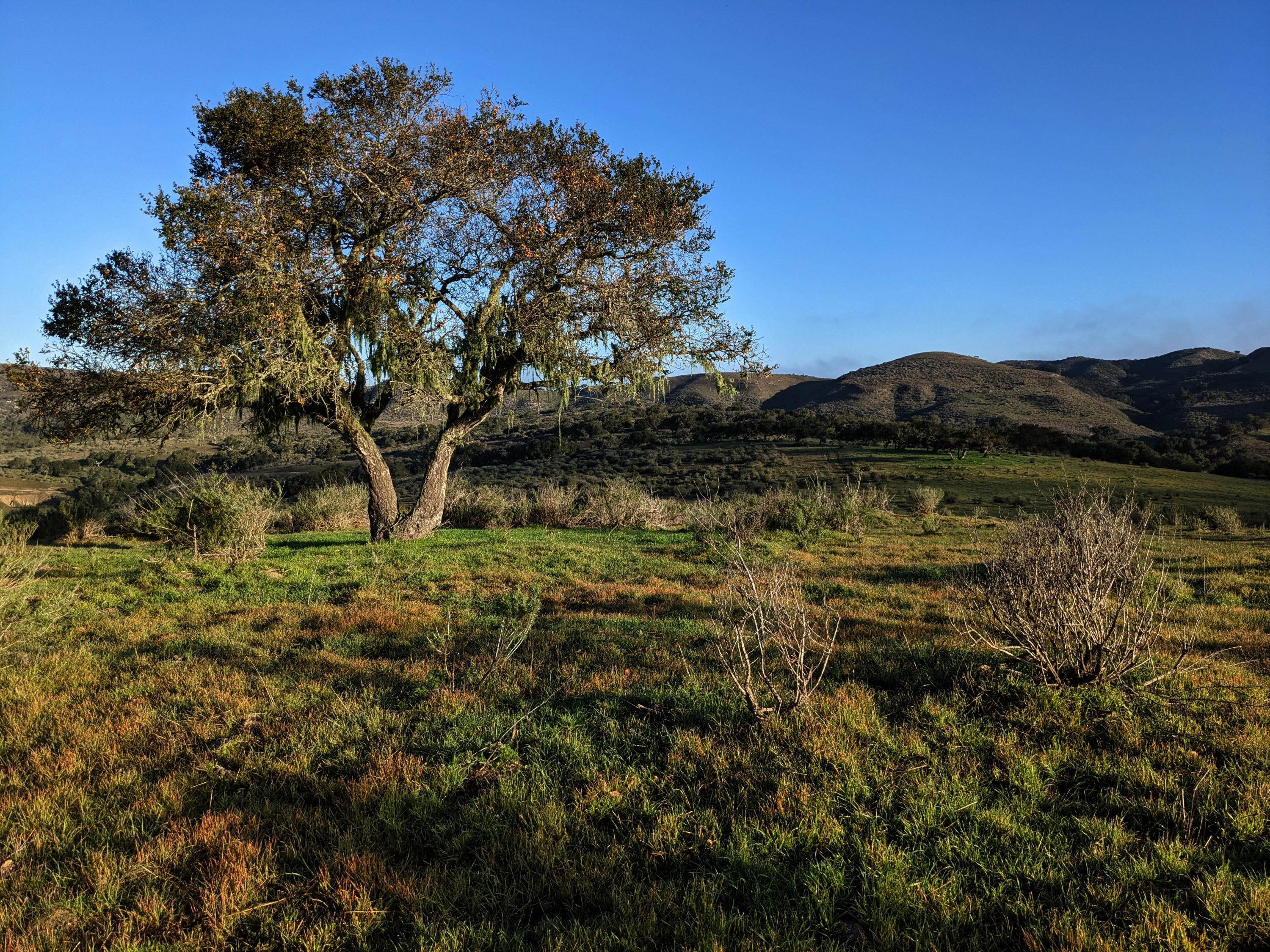 1. Lots / Land for Sale at 1 Sweeney Road Lompoc, California 93436 United States