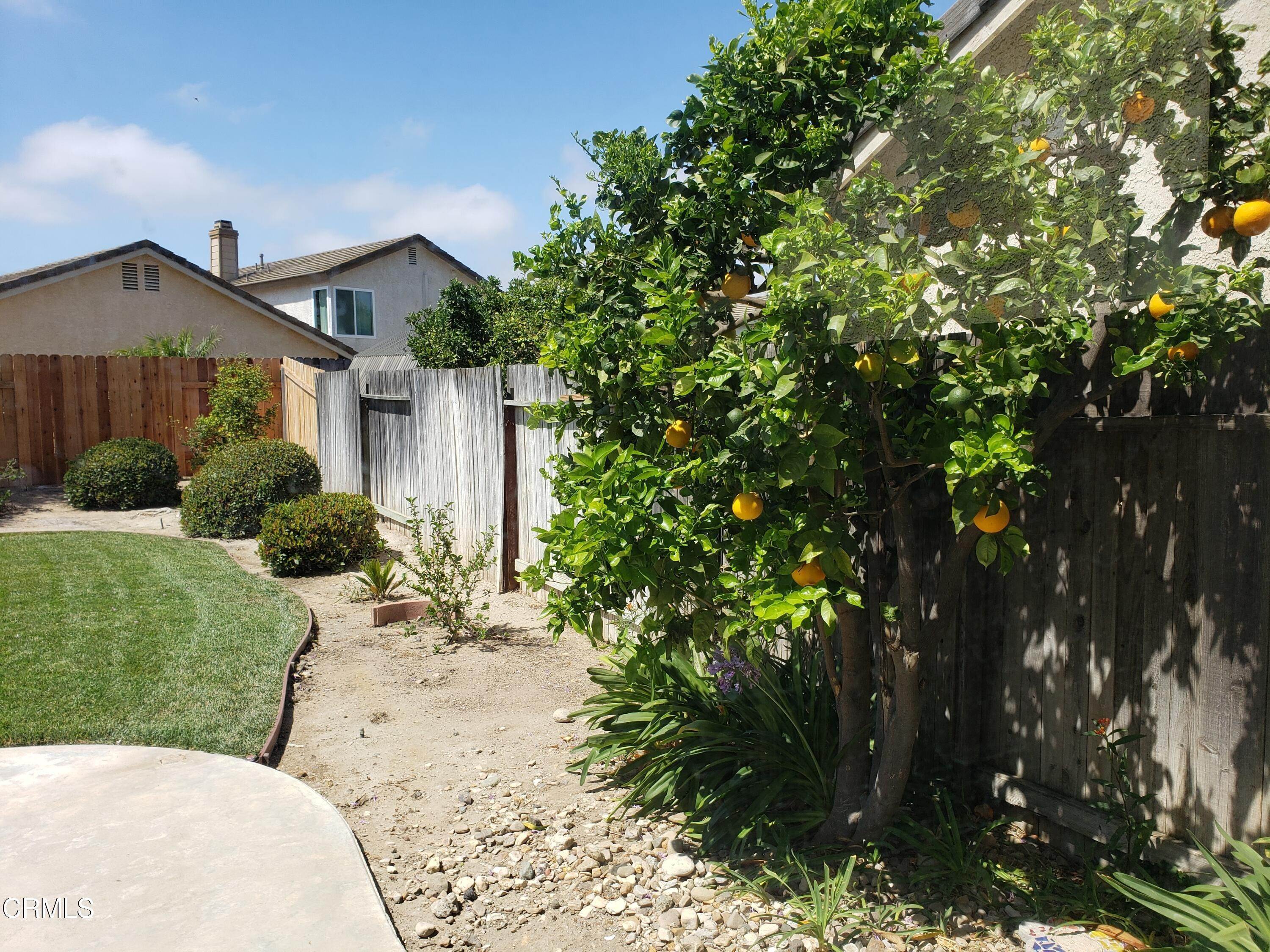 17. Single Family Homes for Sale at 5642 Calle Sencillo Camarillo, California 93012 United States